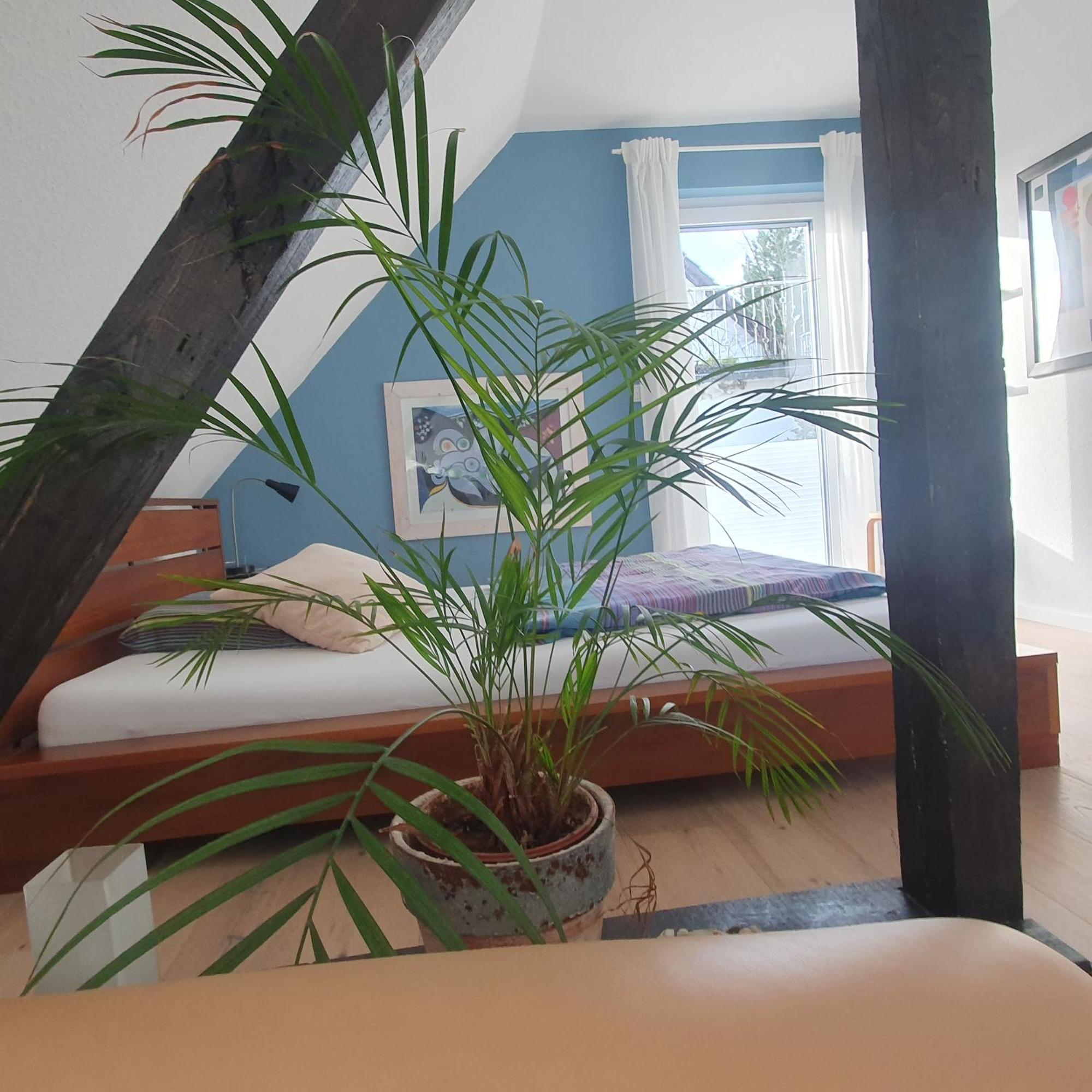 Zwischenraum Otel Wuppertal Dış mekan fotoğraf